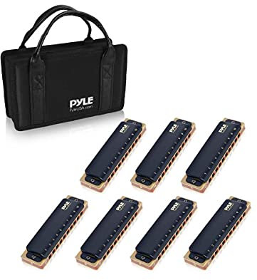 Pyle Professional Brass Metal Covered 10 Hole 7 Piece Diatonic Harmonica Kit - Blues Harp Set Includes Storage Case and Polishing Cloth - Key of C -Great for Pro, Beginner Lessons or Band - PHARM48ST