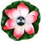 Lychee Solarbetriebene Lotus Laterne,Solarlampen für außen,Wasserdichte LED Garten Pool Licht,Künstliche Lotus Seerose Licht für Garten Hof, Schwimmbad, Brunnen und Aquarien (Rot)