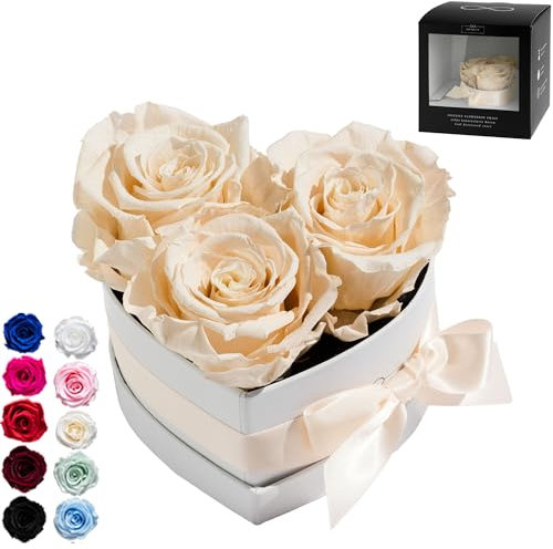 Infinity Flowerbox Small Herz - 3 echte Premiumrosen in Champagne - 3 Jahre haltbar ohne gießen | In Geschenkverpackung mit Satinschleife