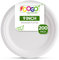 FOOGO Green 200 Assiettes Jetables Bagasse Canne à Sucre, 23 cm, Grandes, Vaisselle Jetable, Écologiques, Biodégradables, Compostables, Pique-nique, Fête, Assiettes Rondes Solides en Papier
