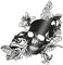 Finest Folia Skull Rose Aufkleber 59x58cm Sticker Dekor Folie Autoaufkleber Tattoo Old School KX039 (Schwarz Glanz)