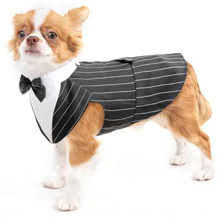 Smoking Elegante Cane Piccola Taglia - Vestito Matrimonio da Sposo Maschio - Tailleur Nero Righe S
