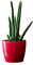 Blumentopf Pflanzkübel Pflanzgefäß Übertopf Kunststoff Glanz Rund Rot D 250 mm H 220 mm