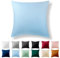 Alreya Renforcé Kissenbezug 40 x 40 cm - 100% Baumwolle mit YKK Reißverschluss, Superweicher Kopfkissenbezug 40x40, Kissenhülle, Hellblau, nur Kissenbezug