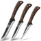 HOSHANHO Butcher Knife Set 3-Piece, Super Sharp Hand Forged Fillet & Dividing & Paring Knife Set, Upgraded High Carbon Stainless Steel Meat Cutting for Home, Outdoor