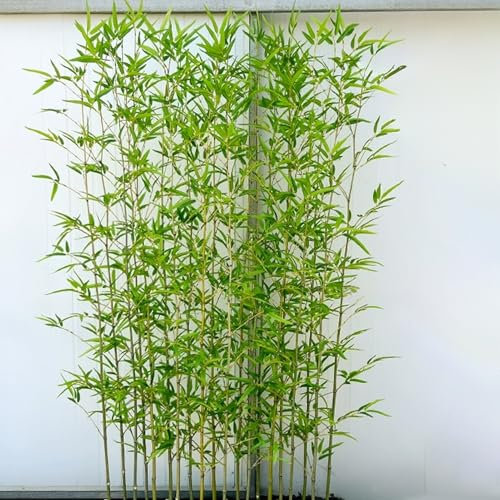 YUGXTH 10 PCS Künstliche Bambus, Künstliche Pflanzen, Sichtschutzwand für Die Landschaftsgestaltung, Dekorativer Gartenzaun, für Den Eingang Zum Balkon, Garten und Hinterhof(150cm/59in)