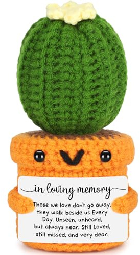 Sympathy Gifts for Loss of Loved One - Bereavement Condolences Gift for loss - Memorial Remembrance Gift for Mom Dad Grandma Grandpa - In Memory of Grief Gifts for Women Men Sorry for Your Loss Cactus