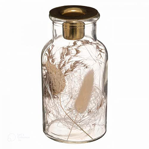 H-basics Trockenblumen Glaskerzenhalter - Kerzenhalter, Spitzkerzen Glas, Windlicht, Teelicht, Leuchter, Dekoration, Wohnzimmer, Schlafzimmer