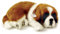Perfect Petzzz 65419 – interaktives Stofftier, Motiv: Hund –Bernhardiner – Atemgeräusch – 25 cm