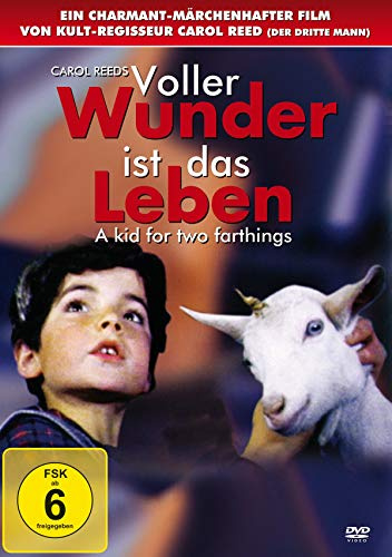 Voller Wunder ist das Leben