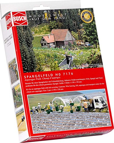 Asparagus field with cloiche covers