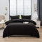 AYSW 16 Couleurs Sets de Housses de Couettes 220x240 cm Double Fermeture Éclair 3 Pièces Microfibre Brossée 100 Fils/cm² + 2 Taies d'oreiller 65x65 cm Noir Parure de Lit Adulte 2 Personnes