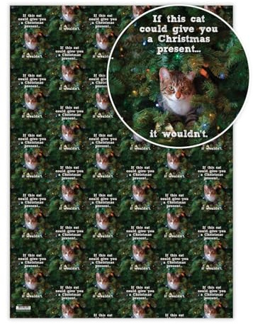 Brainbox Candy - 2 Bögen lustiges Weihnachts-Geschenkpapier – If This Cat – lustiges Weihnachts-Geschenkpapier für Tierliebhaber – für Ihn, Sie, Männer, Frauen, Partner-Freunde
