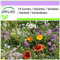 SAFLAX - Paradis pour les insectes - 1000 graines - 19 Sorten