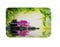 A.Monamour Badematten Badteppiche Badvorleger Yoga Meditation Zen Grün Pflanzen Orchidee Blume Felsen Steine Natur Landschaft Weiche Flanell Bad Teppich Boden Matten Für Wohnzimmer Dekorationen