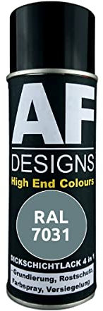 Alex Flittner Designs Vernice antiruggine 4 in 1 RAL 7031 blu grigio metallo vernice protettiva spray vernice antiruggine bomboletta spray