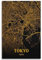 BPQN Retro-Karten-Poster, Asien, Japan, Tokio, dekoratives Gemälde, Leinwand, Kunstbild, 30 x 45 cm