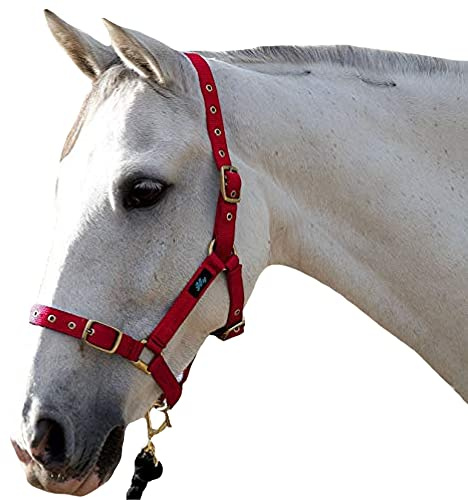 Hy Holly Fully Adjustable Headcollar(Red, Cob)
