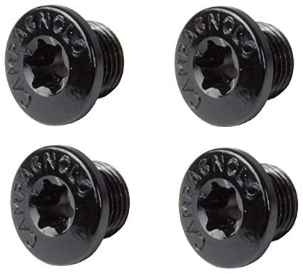 Campagnolo Spares FC-SR300 Screws and Bolts Chain Set - Black