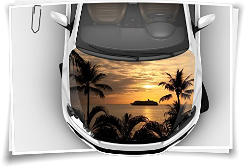 Meer Palmen Motorhaube Auto-Aufkleber Steinschlag-Schutz-Folie Airbrush Tuning Car-Wrapping Luftkanalfolie Digitaldruck