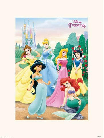 empireposter Disney - Princess Pose - hochwertiger Kunstdruck mit den Maßen 30x40 cm