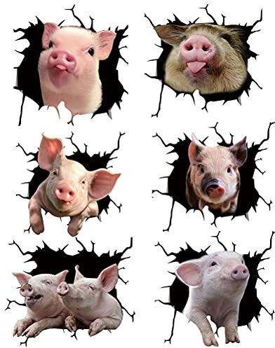 WINBST Aufkleber,Schweinchen-Aufkleber,6 Stück Autofenster Kaputt Schwein Tier Riss Sticker Wandsticker Fürs Auto Motorrad Laptops Fenster Wände Lastwagen 26 * 26cm