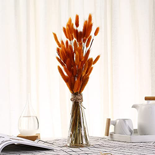 YIWOYI 50 steli di erba naturale essiccata a coda di coniglio, bouquet di fiori secchi naturali, decorazione per la casa, piante decorative per feste (arancione)