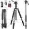 INNOREL RT45C+F10 Portable 10 Layers Carbon Fiber Tripod Professional Travel Compact Lightweight Tripod Monopod for DSLR Camera Camcorder with Mini Damping Fluid Video Head Magic Arm Phone Clip