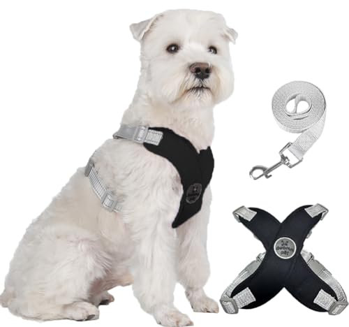 FEimaX Hundegeschirr für Kleine Mittlere Hunde Anti Zug Reflektierend Weich Brustgeschirr mit Hundeleine No Pull Hunde Geschirr Verstellbare Atmungsaktiv Welpen Hundegeschirr