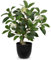 Arborus Plantes artificielles d'intérieur de 40 cm de haut - Laurier vert dans des pots noirs - Petites plantes artificielles décoratives en pot - Plantes artificielles décoratives pour la maison, la