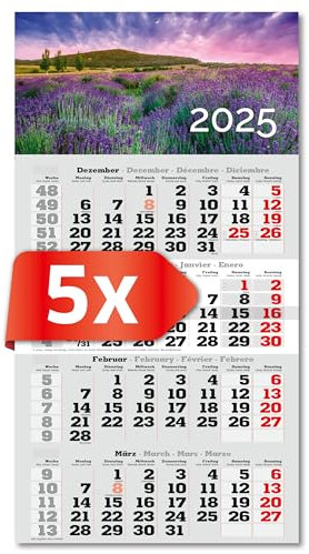 PRIMUS PRINT 4-Monats Einblockkalender 2025 - Wandkalender - Monatskalender mit Schieber - Blockkalender - inklusive Feiertagen - verschiedene Motive, verschiedene Sets - [ 5 x Lavendel ]