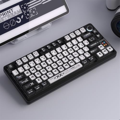 DucKey PrintStream Translucent Keycaps, Mechanical Gaming Keyboard CSGO OEM Profile PBT+PC Keycap