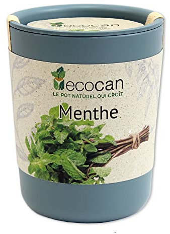 Feel Green Ecocan, Menthe, Idée Cadeau (100% Biodégradable), Grow-Your-Own/Kit Prêt-à-Pousser, Le Pot Écologique Qui Croît 9 x 7 cm, Produit en Autriche