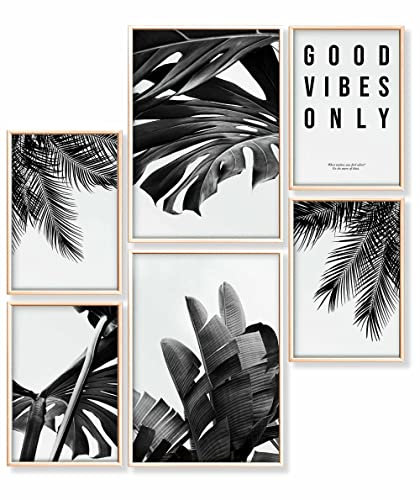 Heimlich® Tableau Décoration Murale - SANS Cadres -Set de Poster Premium pour la Maison, Bureau, Salon, Chambre, Cuisine 2 x A3 & 4 x A4-30x42 & 21x30 | » Monstera Noir Et «