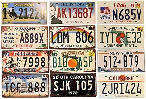 DiiliHiiri Lote de 12 Placas de Matrícula de Coche de EE. UU. Réplicas de Placas Americanas Bar - Cafetería - Cueva de Hombre - Garage o Taller —15x30cm—(LOTE-5-Y-7-REKKILPI)