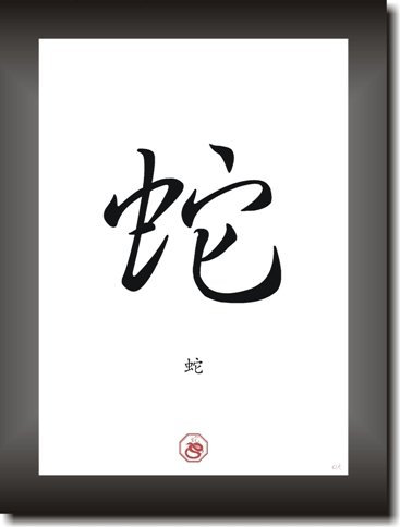 Druck-Geschenk SCHLANGE SNAKE Sternzeichen Bild Dekoration Chinesischer Mondkalender Horoskop asiatisches Kalligraphie Schriftzeichen Plakat Poster Kunstdruck Symbole