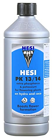 Hesi
