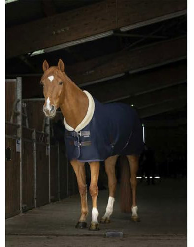 Equithème Teddy Mesh Stalldecke - Marineblau