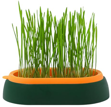 Onlynery Cat Grass Planter - Cat Grass Tray,Cat Planter for Indoor or Outdoor Cats, Dogs, and Other Pets, Cat Grass Box for Indoor Outdoor Plants, Pet Accessory