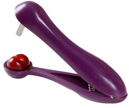 Dénoyauteur de cerises avec tige en acier inoxydable, dénoyauteur de fruits pour les fromages, raisins, canneberges, jujubes
