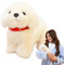 Idezek Kuscheltier Hund Plüsch,Plüsch Bichon Frise,9,84 Zoll Plüsch-Bichon-Welpe - Weiches und süßes Hundeplüschspielzeug, Plüsch-Bichon-Welpe, realistisches Bichon-Frise-Stofftier für Kinder, Zuhause