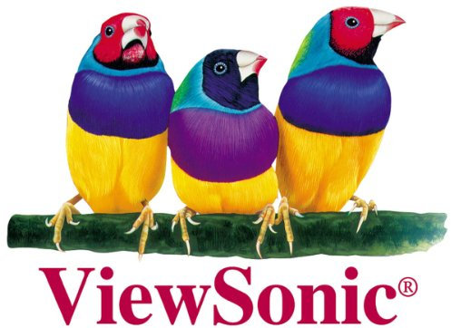 Viewsonic IFP65G1 lavagna interattiva 139.7 cm (55) 3840 x 2160 pixels Touch screen Nero HDMI