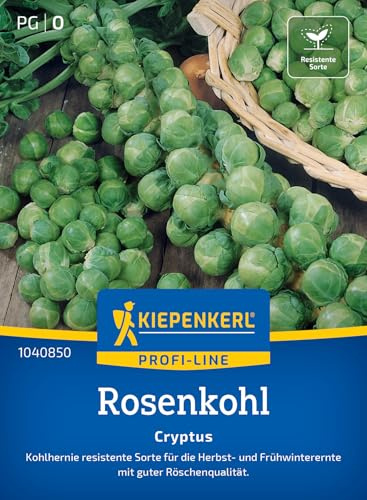 Kiepenkerl Profi-Line Rosenkohlsamen Cryptus 1040850 - resistente Sorte - Röschenqualität - Herbst- und Frühwinterernte - Samen Gemüse, Saatgut, Gemüsepflanzen