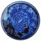 Ohulelks Cute Fashion Contact Lens Case,Portable Travel Glitter Luxury Bling Stars Liquid Quicksand Contact Lens Cases Eye Care Set(Blue)