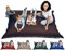 sunnypillow XXL Sitzsack, Sitzkissen aus Kunstleder Outdoor & Indoor 180 x 145 cm mit 380L Styropor Füllung Sessel für Kinder & Erwachsene Sofa Beanbag viele Farben und Größen zur Auswahl Braun