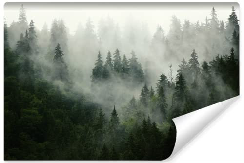 Muralo Photo Wallpaper Forest in Mist Wall Wallpaper Trees Green Nature Living Room Bedroom Dining Room Modern Wall Pictures XXL Landscape Panorama Wall Decoration (Non-Woven Fabric, Width 405 cm x