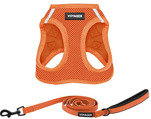 Best Pet Supplies Voyager Step-in Air, Allwetter-Mesh-Geschirr und reflektierendes Hundegeschirr, 1,52 m, Kombination mit Neopren-Griff, für kleine, mittelgroße und große Rassen, Welpen, Orange, Größe