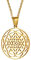 FLHEART Meditation Halskette Herren Damen - Heilige Geometrie Geschenk Edelstahl Hinduismus Symbol Sri Yantra Chakra Halsketten Amulett Talisman Schmuck,Vergoldet