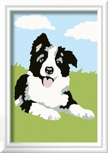 Ravensburger CreArt Border Collie Welpe - Malen nach Zahlen ab 7 Jahre | Malset mit Rahmen, Pinsel und Acrylfarben, Geschenk für Mädchen und Jungen