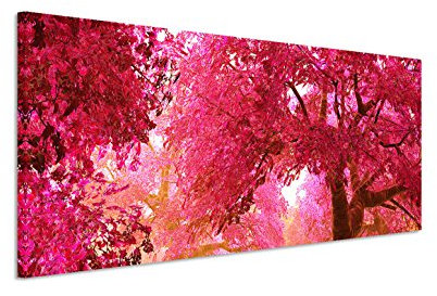 150x50cm Leinwandbild auf Keilrahmen Kirschbäume Blüten Garten Japan Wandbild auf Leinwand als Panorama